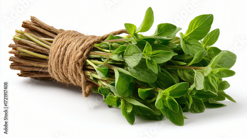 Oregano bunch tied with string, Dried oregano herb bunch tied with rope on white background