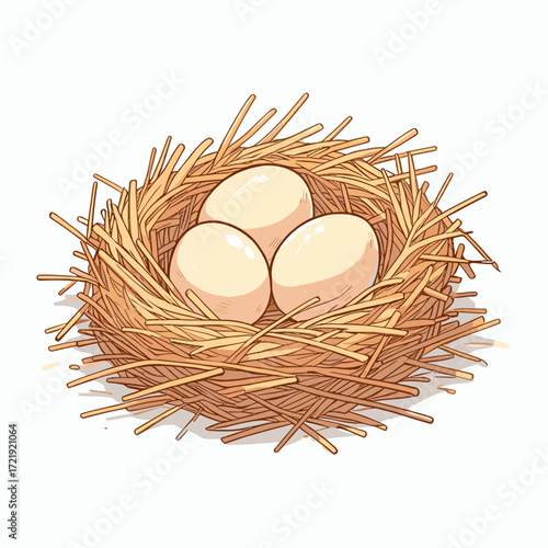Eggs in straw nest vector