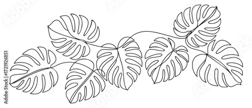 Hand-drawing one continuous line art of tropical monstera leaves. one line Icon drawing with white background
