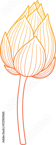 Minimalist orange line art lotus flower bud with detailed petals and a slender stem.