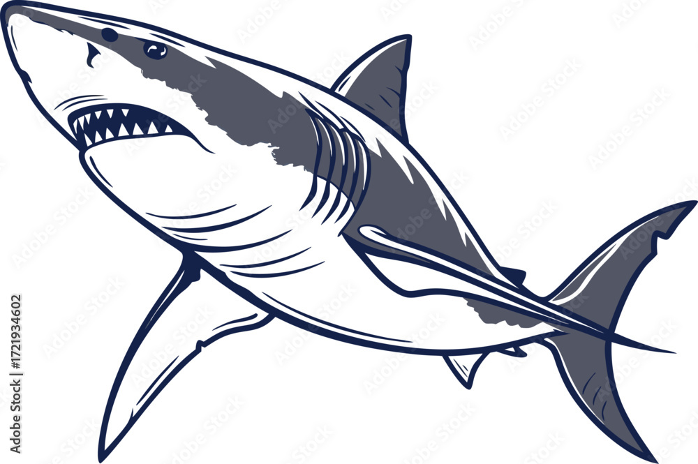 Fototapeta premium Realistic Shark Illustration. Fierce Shark Ocean Artwork. Colorful Shark Marine Illustration. Detailed Shark Creative Drawing. Great White Shark Illustration. Swimming Shark Clipart Design
