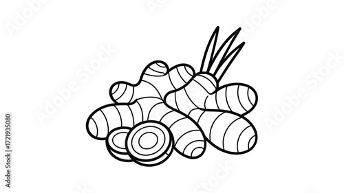 Hand drawn illustration of fresh ginger root and slices