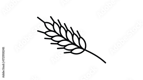 Simple hand drawn line art of a wheat stalk on a white background