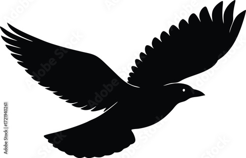  flying bird vector, avian wildlife silhouette illustration