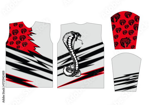 CAMISA CROSS 16.ai