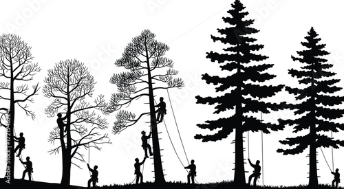 Arborist silhouettes climbing trees, tree trimming service, forest maintenance, professional tree care, vector illustration, outdoor work, forestry workers, safety gear, landscape management