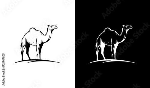A black-and-white vector illustration of a standing dromedary camel, shown in side view facing right, with a single hump, slender legs, and minimal line details highlighting its body contours.