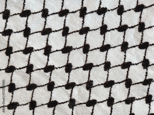 Palestinian headscarf, kufiya, symbol of resistance and freedom.