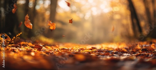 Fototapeta Naklejka Na Ścianę i Meble -  The autumn leaves swirling gracefully in a serene forest setting.