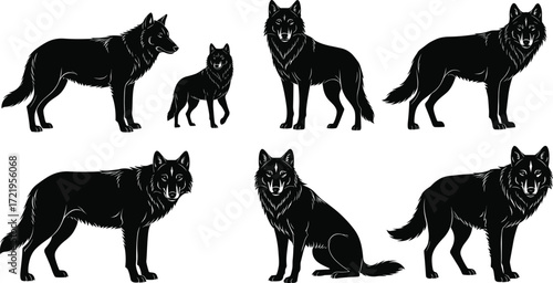 Black wolf silhouettes in various poses, standing, sitting, walking, isolated on white background, realistic fur detail, wild animal illustration