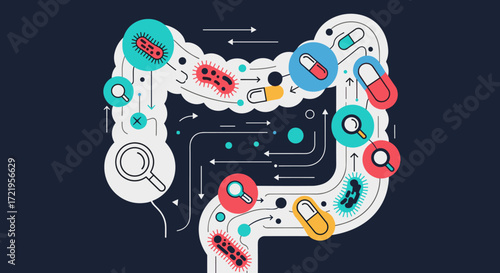 Understanding the intricate world of gut bacteria and their impact on human health.