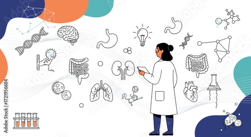 Understanding the human body through intricate organ system illustrations and scientific exploration.