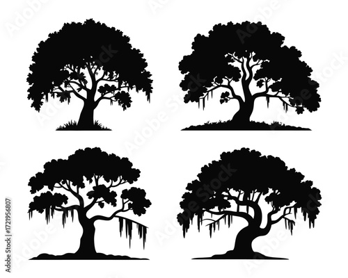 Cypress and spanish moss trees black white vector minimalist nature illustration