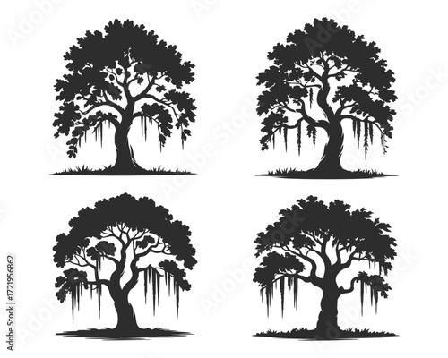 Cypress and spanish moss trees black white vector minimalist nature illustration