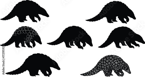 Pangolin silhouette illustrations, black vector, scale texture, walking pose, curled tail, stylized posture, animal design, character set, wildlife art