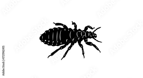 Photos Black and white silhouette of a bedbug  on a white background