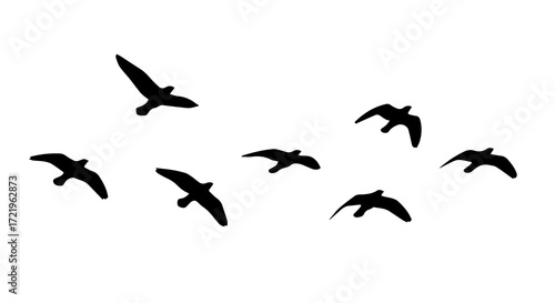 Graceful Silhouette of Flying Birds on a transparent Background