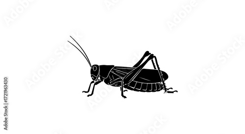 Grasshopper Black and White Silhouette on transparent Background 