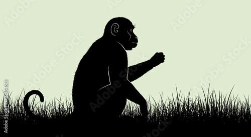 Silhouette of a monkey sitting in grass against a pale background  