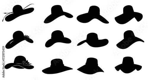Silhouette collection of women's hats with wide brims in various shapes and styles.
