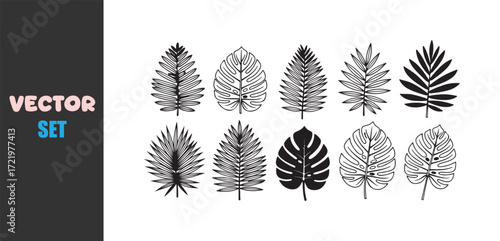 Collection of stylized black and white tropical palm leaves