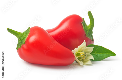 fresh pepper with green leaves and flower isolated on white background