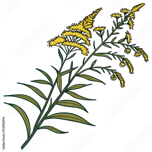 golden rod with leaves 