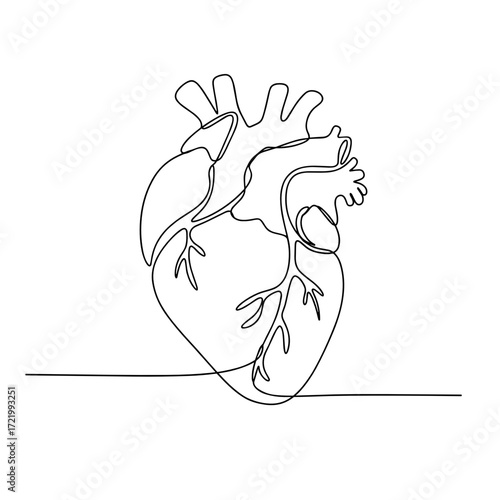Continuous line drawing of a human heart with arteries and veins  