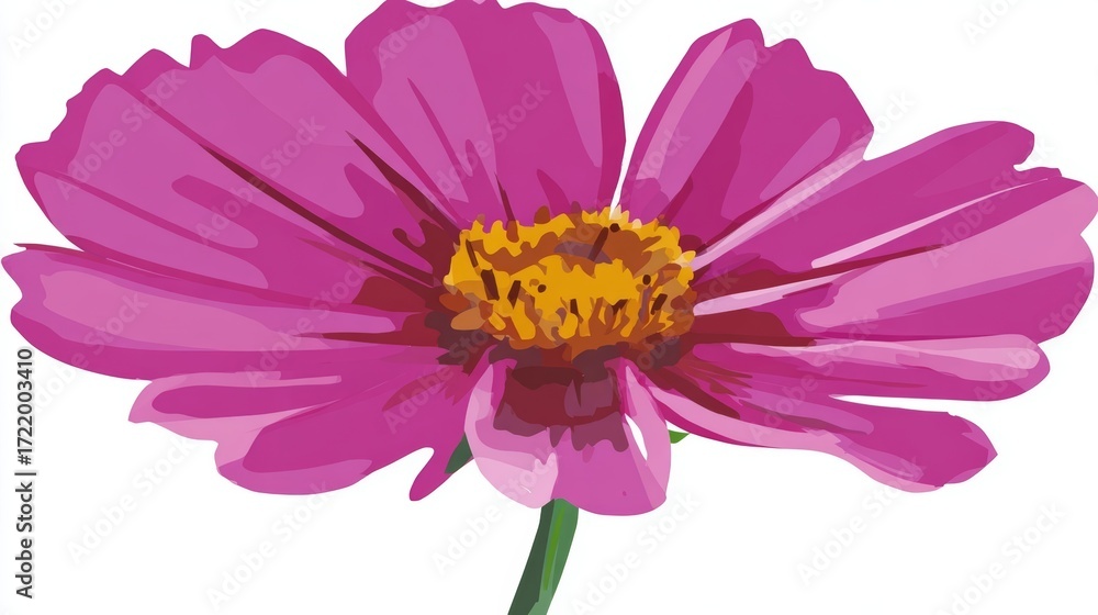 Obraz premium A beautiful pink cosmos or dahlia flower with delicate petals is isolated on a white background