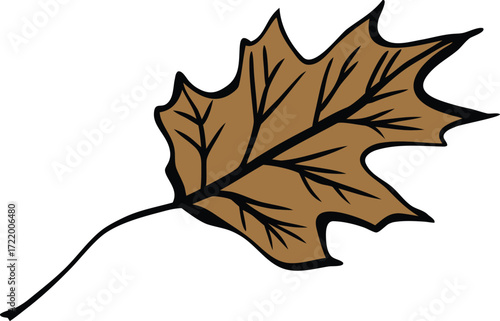 Autumn oak leaf close up macro detail with realistic texture and veins isolated on transparent background