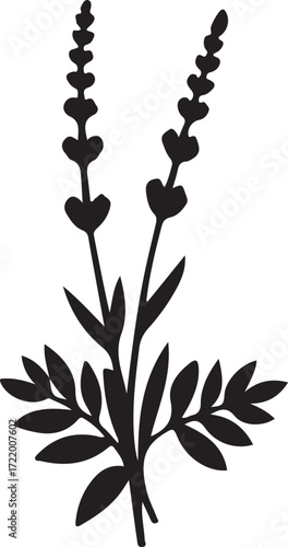 Elegant Lavender Silhouette Showcasing Botanical Beauty and Simple Floral Design with Flowing Leaves and Distinct Flower Spikes