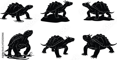 Fantasy turtle dragon silhouette collection, mythical reptile hybrid creatures, horned shell beasts in water, rock, grass, creative animal design illustration