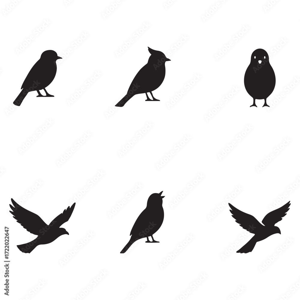 Fototapeta premium A set of silhouette vector of very familiar common birds 