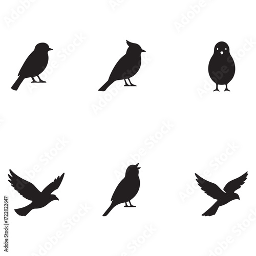 A set of silhouette vector of  very familiar  common birds 