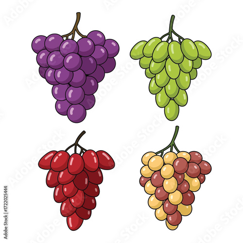 Four bunches of fresh grapes purple green red and mixed varieties fruit variety display