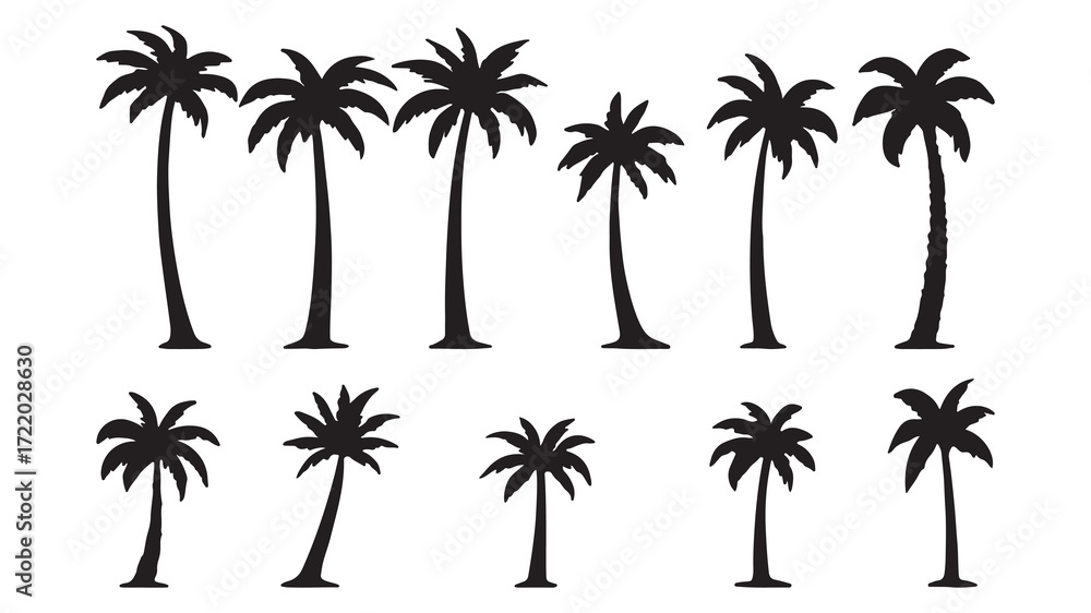 Fototapeta premium set of palm trees silhouette vector