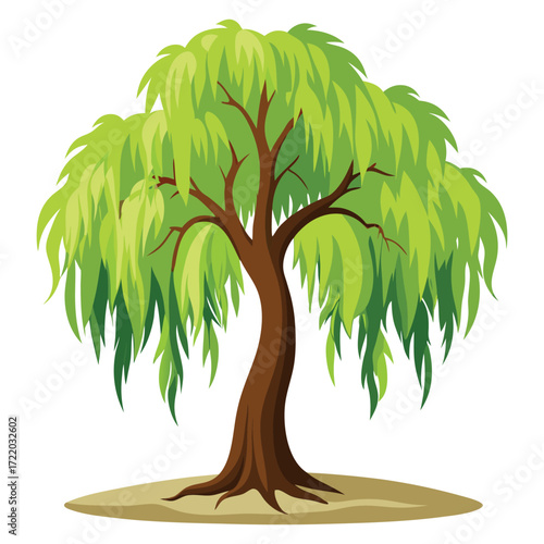 willow cartoon Tree Illustration Isolated on White Background
