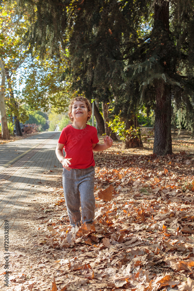 Fototapeta premium A cheerful and energetic young boy runs and plays, kicking up a pile of golden autumn leaves in a park. Autumn concept, autumn season, fall 