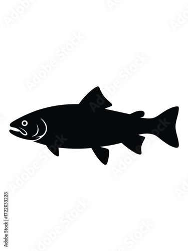 Silhouette of a wild salmon swimming in clear water