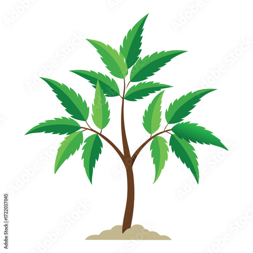 Decorative Ornamental Tree Graphic Illustration