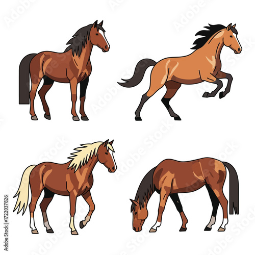 Set of four majestic horses in different poses capturing graceful movement and beauty