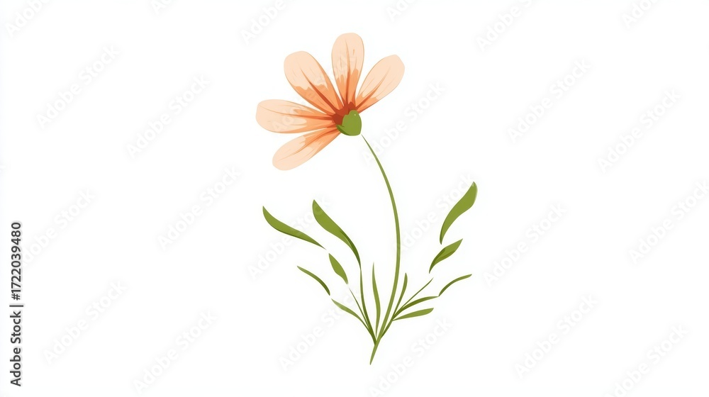 Fototapeta premium A vibrant red flower with delicate petals and a long green stem, isolated on a clean white background