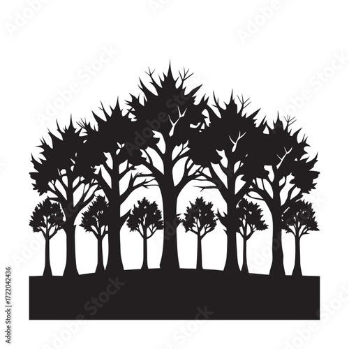 Foggy Tree Line Silhouette Horizon