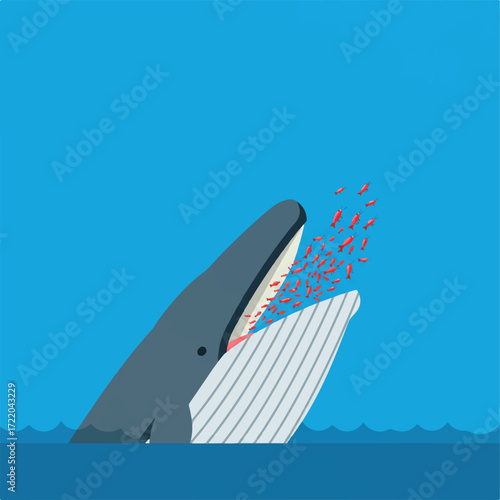 A blue whale opens its mouth to eat a school of small red fish