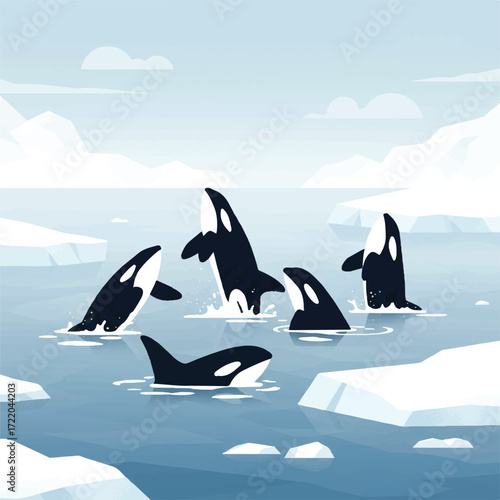 Orcas breaching and swimming in icy arctic waters