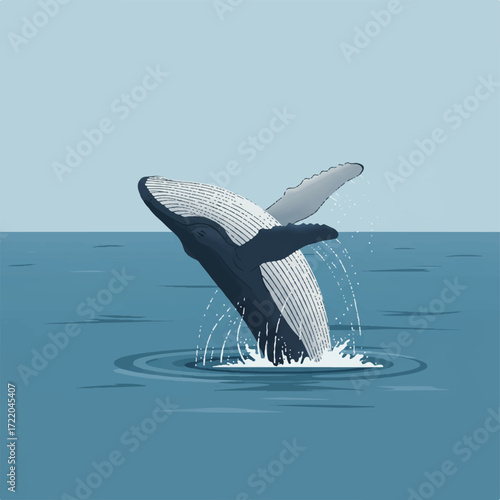 A humpback whale breaches from the ocean spraying water