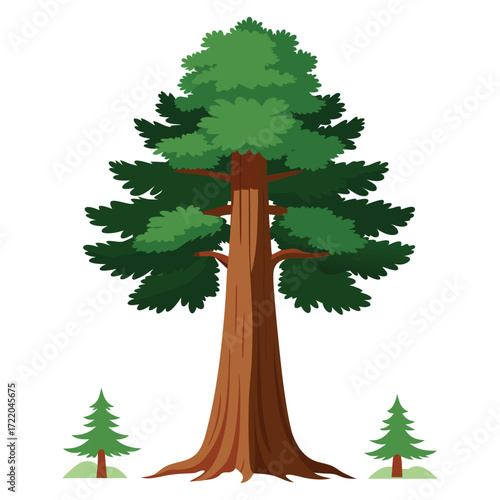 Redwoods Vector Artwork Isolated on White