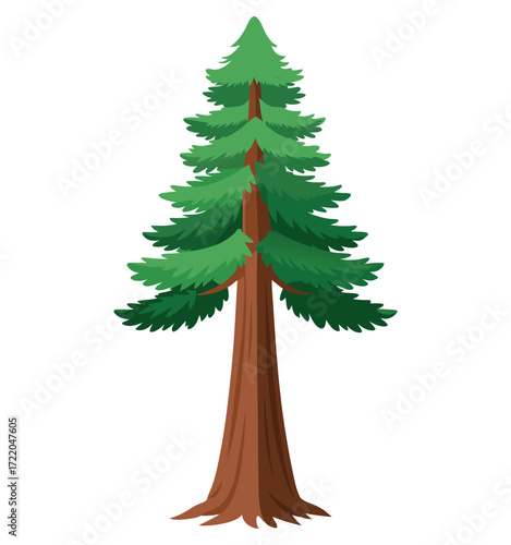christmas tree isolated on white