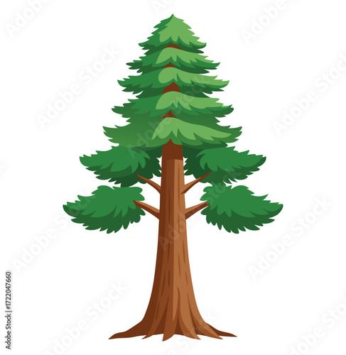 christmas tree isolated on white background