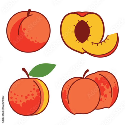 Sweet peaches variety fresh fruit illustration healthy food delicious orchard harvest nature